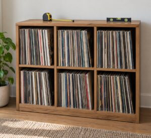 how much weight can a record shelf hold